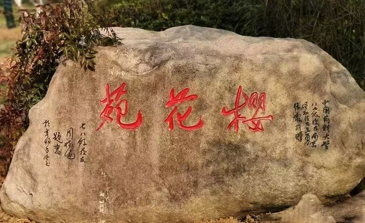 圖3.jpg